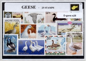 D-gans-s25.jpg