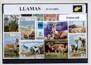 D-lama-s25.jpg