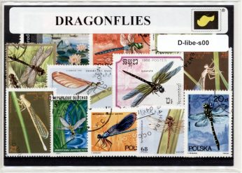D-libe-s00.jpg