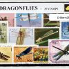 D-libe-s25.jpg