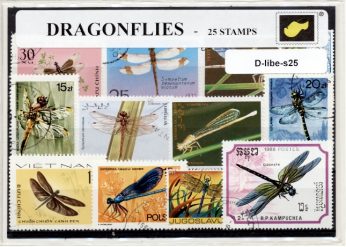 D-libe-s25.jpg