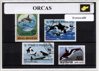D-orca-s00.jpg