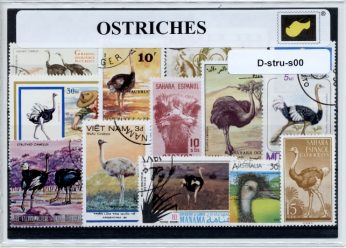 D-stru-s00.jpg