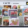 N-cact-s25.jpg