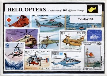 T-heli-s100b.jpg