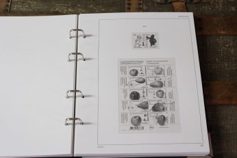 importa_sk_basis_2016_332