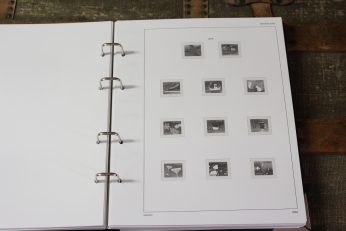 importa_sk_basis_2016_335a